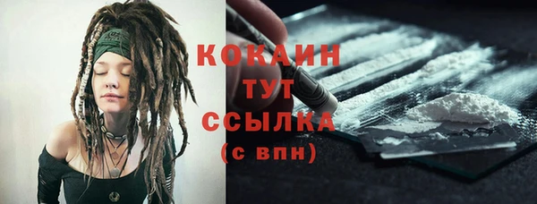 хмурый Абаза