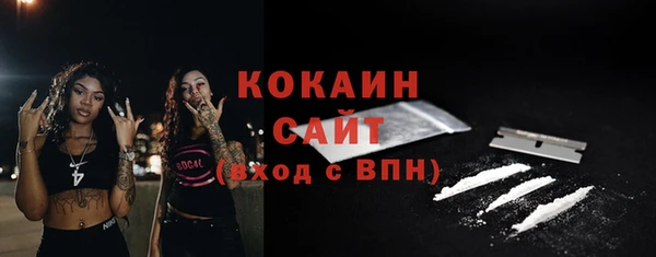 хмурый Абаза
