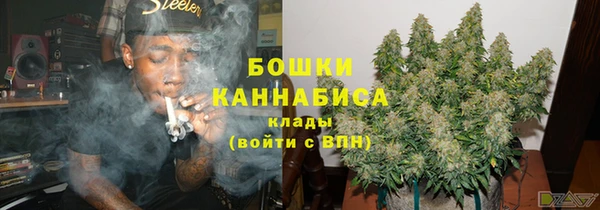 хмурый Абаза