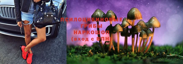 хмурый Абаза